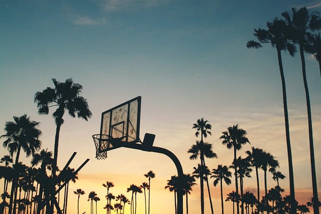 palm trees and basketball hoop against a blue and orange sunset